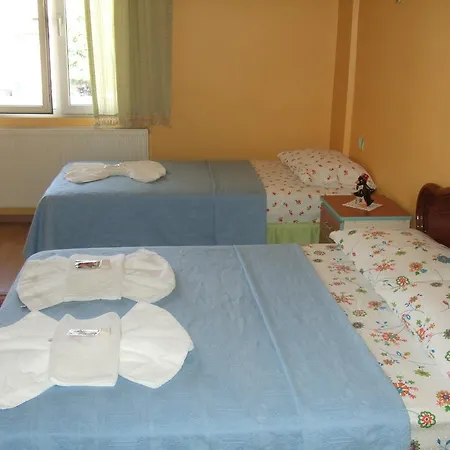 Hotell Efes Antik 2*